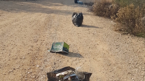 ניקיון כניסה אחורית תרדיון