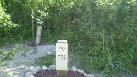 11 עין בלה (1).jpg
