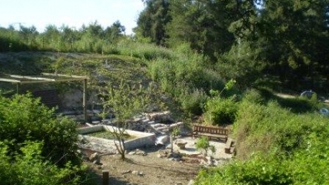 11 עין בלה (3).jpg