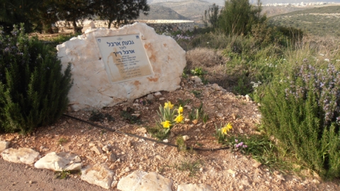 11 ארבל ביובלים (6).jpg