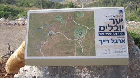 11 ארבל ביובלים (8).jpg