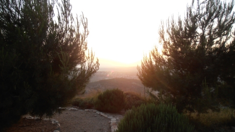 11 ארבל ביובלים (3).jpg