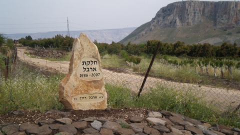 11 חלקת ארבל (1).jpg