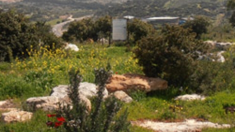 11 בוסתן נוף משותף  - לזכרו של עמרי גולדין.jpg