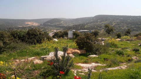 11 בוסתן נוף משותף - לזכרו של עמרי גולדין (3).jpg