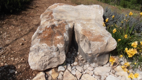11 אנדרטה לזכרו של עדי ברבסטר (1).jpg