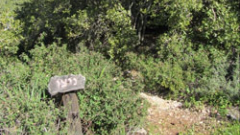 11 שביל ניצן - לזכרו של ניצן בלדרן (3).jpg