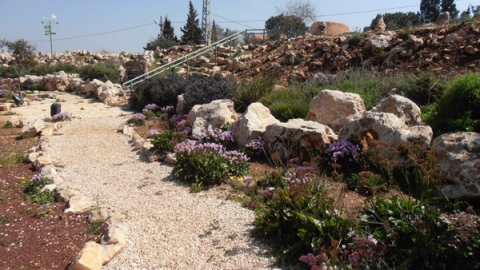 11 הדרך של בן - לזכרו של בן סלע (9).jpg