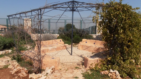 11 הדרך של בן - לזכרו של בן סלע (10).jpg