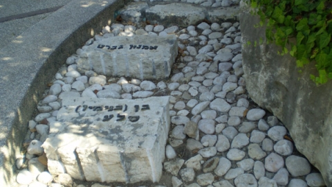 11 נחל דומם (3).jpg
