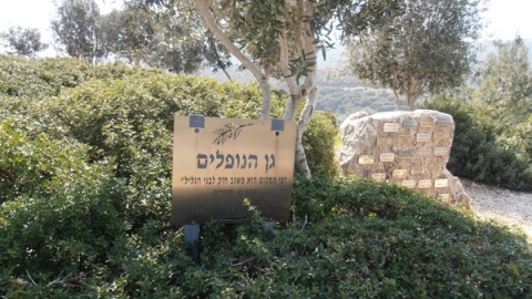 11 חורשת הנופלים (2).jpg